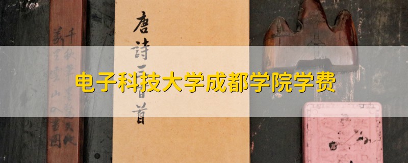 電子科技大學(xué)成都學(xué)院學(xué)費(fèi)