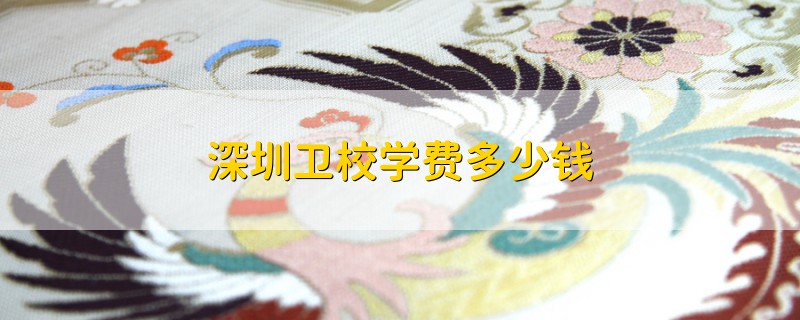 深圳衛(wèi)校學(xué)費(fèi)多少錢