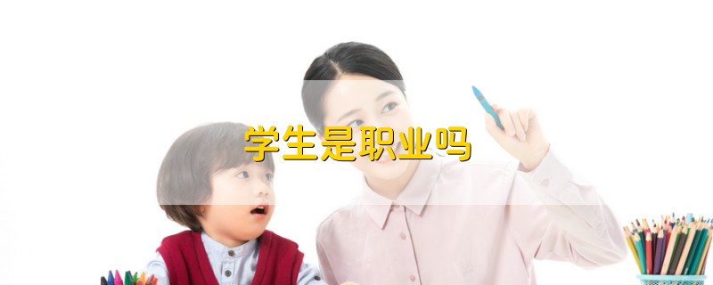 學生是職業(yè)嗎