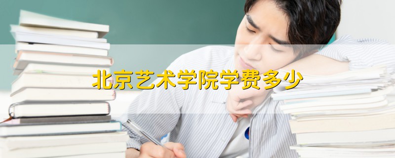 北京藝術(shù)學(xué)院學(xué)費(fèi)多少