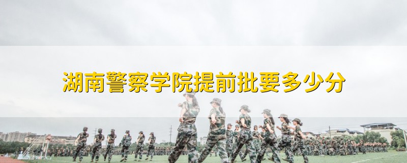 湖南警察學(xué)院提前批要多少分
