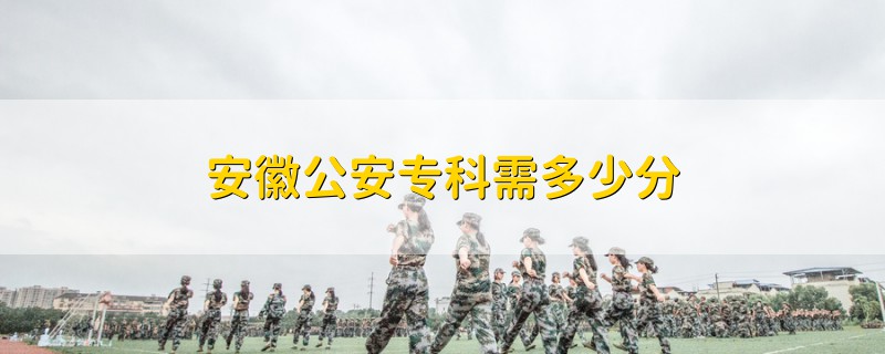 安徽公安專科需多少分