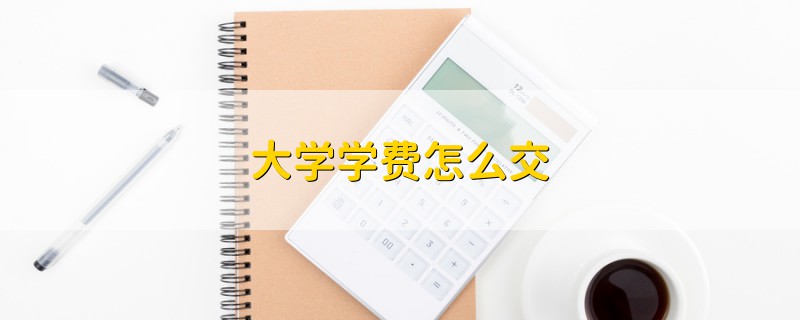 大學(xué)學(xué)費(fèi)怎么交