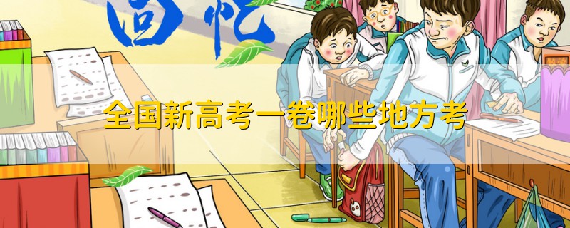 全國(guó)新高考一卷哪些地方考