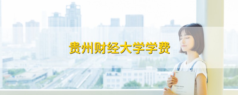 貴州財經(jīng)大學(xué)學(xué)費(fèi)