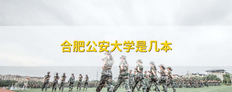 合肥公安大學是幾本