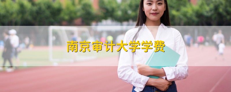 南京審計(jì)大學(xué)學(xué)費(fèi)