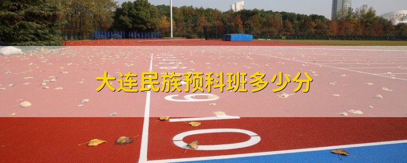 大連民族預(yù)科班多少分