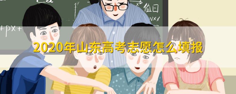 2020年山東高考志愿怎么填報