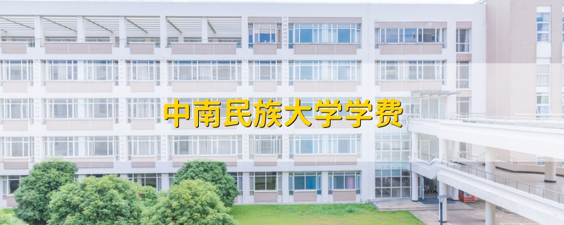 中南民族大學(xué)學(xué)費(fèi)