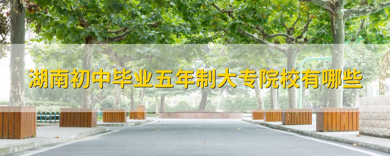 湖南初中畢業(yè)五年制大專院校有哪些