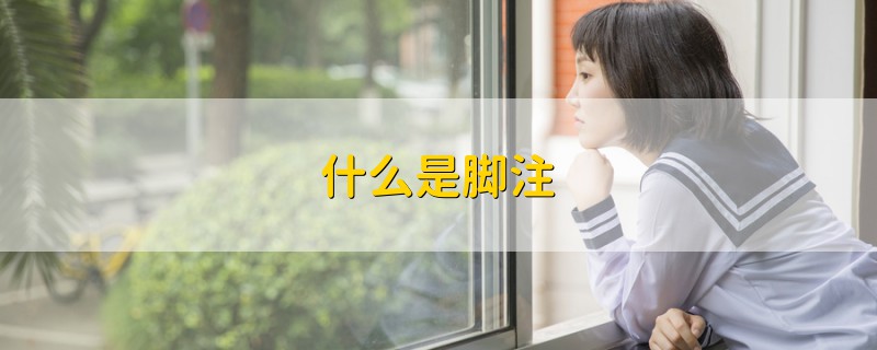 什么是腳注
