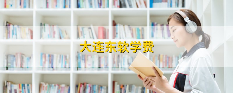 大連東軟學(xué)費(fèi)