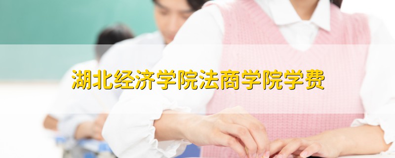 湖北經(jīng)濟學院法商學院學費