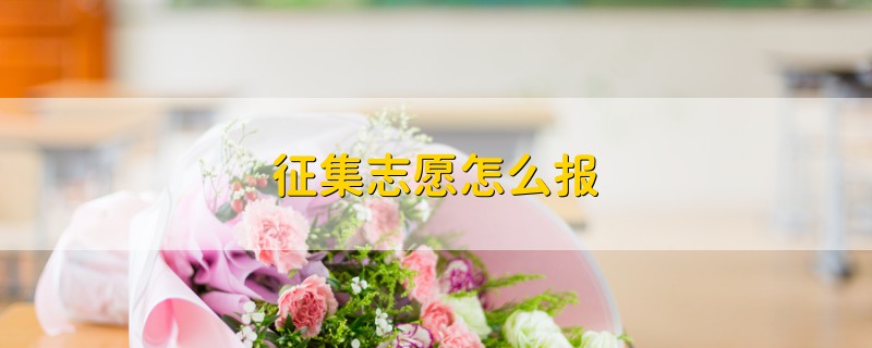 征集志愿怎么報(bào)