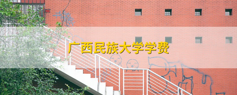 廣西民族大學(xué)學(xué)費(fèi)
