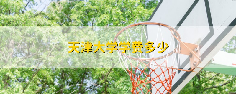 天津大學(xué)學(xué)費(fèi)多少