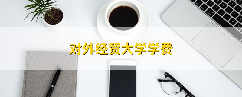 對(duì)外經(jīng)貿(mào)大學(xué)學(xué)費(fèi)