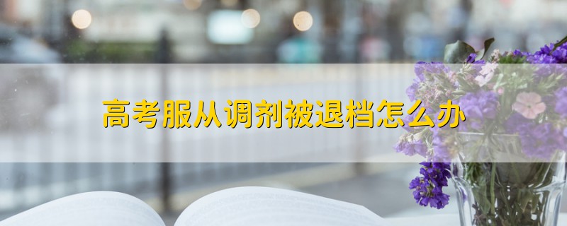 高考服從調(diào)劑被退檔怎么辦