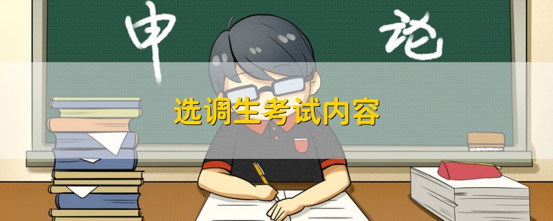 選調(diào)生考試內(nèi)容