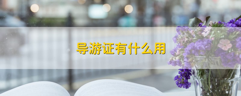 導(dǎo)游證有什么用