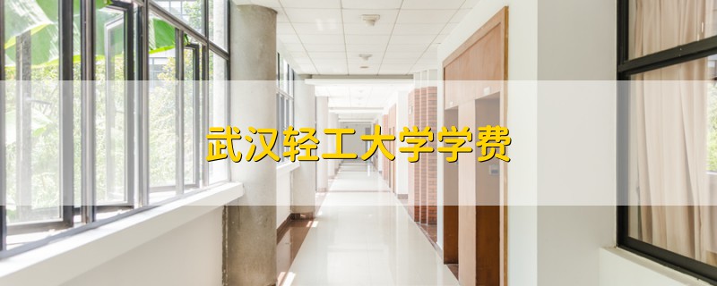 武漢輕工大學(xué)學(xué)費(fèi)