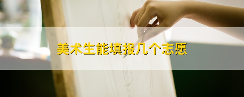 美術(shù)生能填報(bào)幾個(gè)志愿