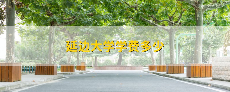 延邊大學(xué)學(xué)費(fèi)多少