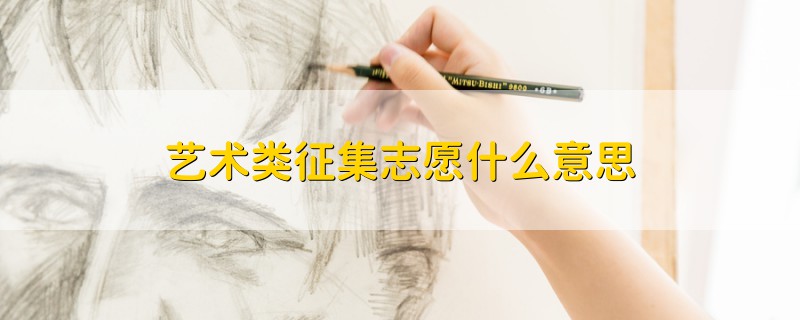 藝術(shù)類征集志愿什么意思