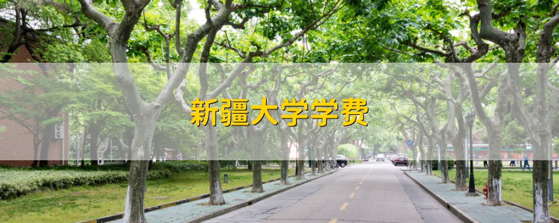 新疆大學學費