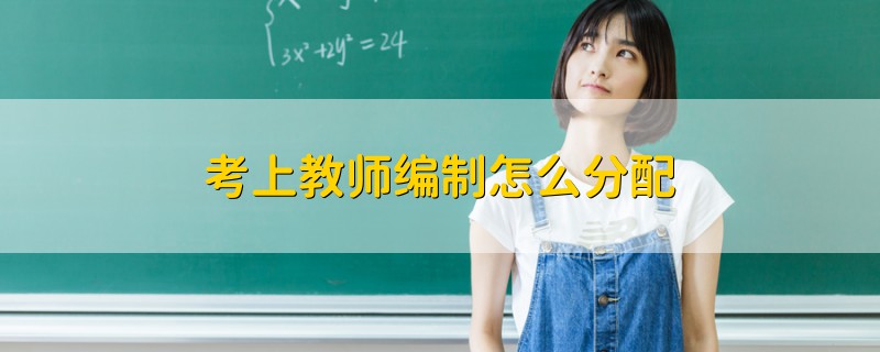 考上教師編制怎么分配