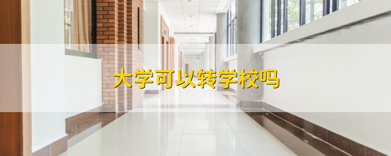 大學(xué)可以轉(zhuǎn)學(xué)校嗎