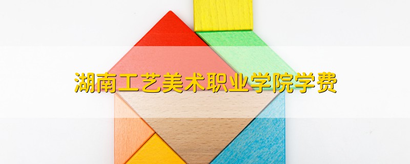 湖南工藝美術(shù)職業(yè)學(xué)院學(xué)費