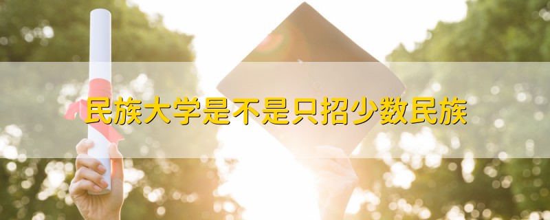 民族大學(xué)是不是只招少數(shù)民族