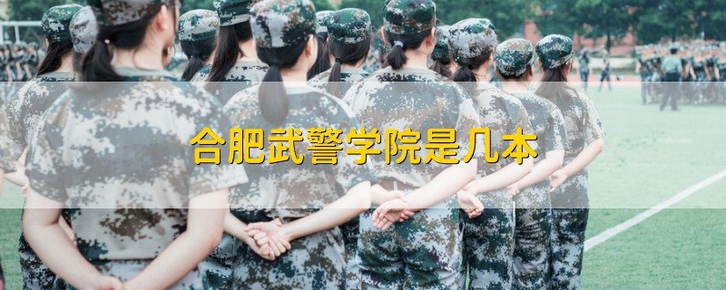 合肥武警學(xué)院是幾本