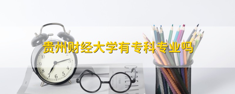 貴州財(cái)經(jīng)大學(xué)有?？茖I(yè)嗎