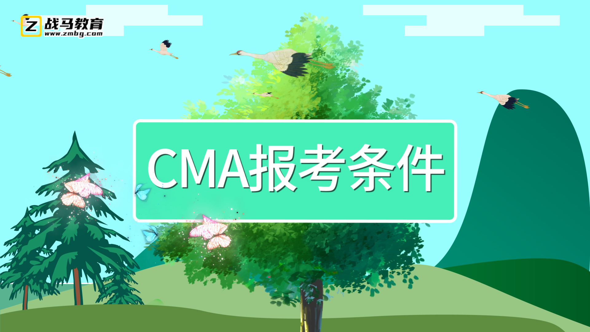 cma報考條件