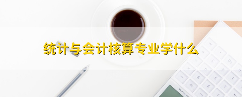 統(tǒng)計(jì)與會(huì)計(jì)核算專業(yè)學(xué)什么