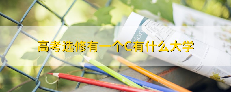 高考選修有一個C有什么大學