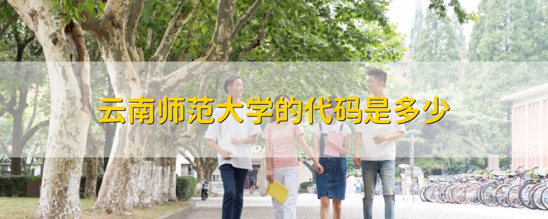 云南師范大學(xué)的代碼是多少