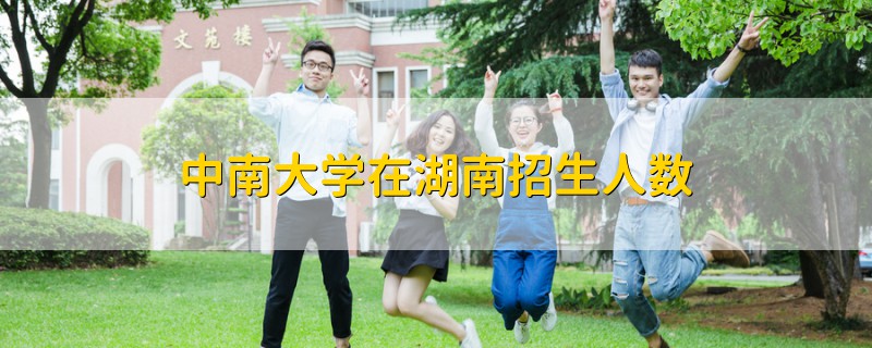 中南大學(xué)在湖南招生人數(shù)