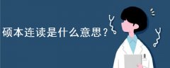 碩本連讀是什么意思