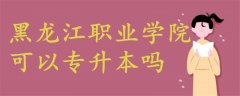 黑龍江職業(yè)學院可以專升本嗎