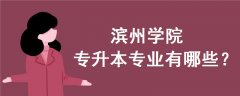 濱州學院專升本專業(yè)有哪些