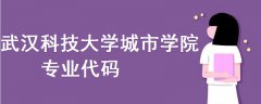 武漢科技大學(xué)城市學(xué)院專業(yè)代碼