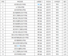 武漢公辦?？茖W(xué)校有哪些