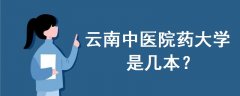 云南中醫(yī)院藥大學(xué)是幾本