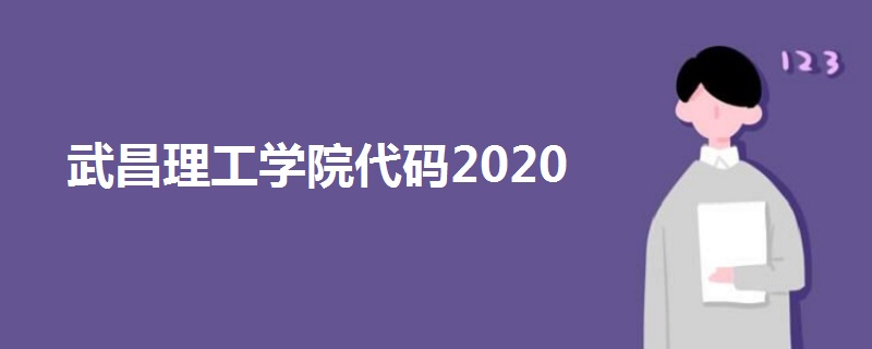 武昌理工學(xué)院代碼2020
