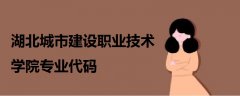 湖北城市建設職業(yè)技術學院專業(yè)代碼