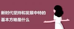 新時(shí)代堅(jiān)持和發(fā)展中特的基本方略是什么